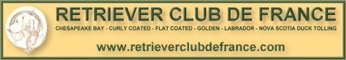 Retriever Club